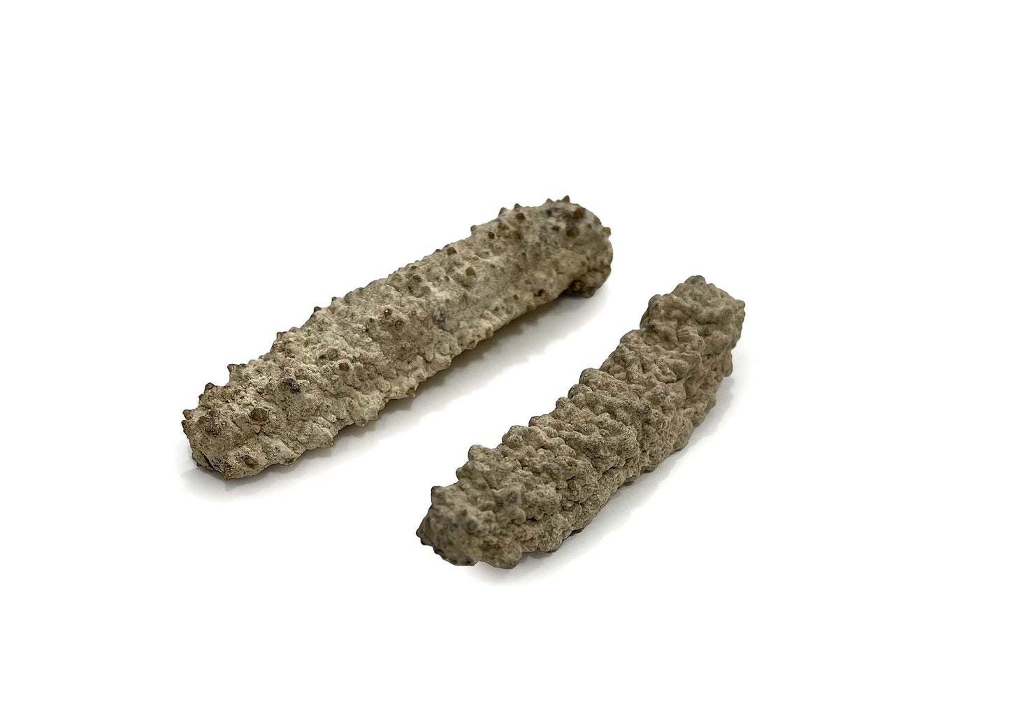 Australian Dried Sea Cucumber 澳洲黃玉刺參