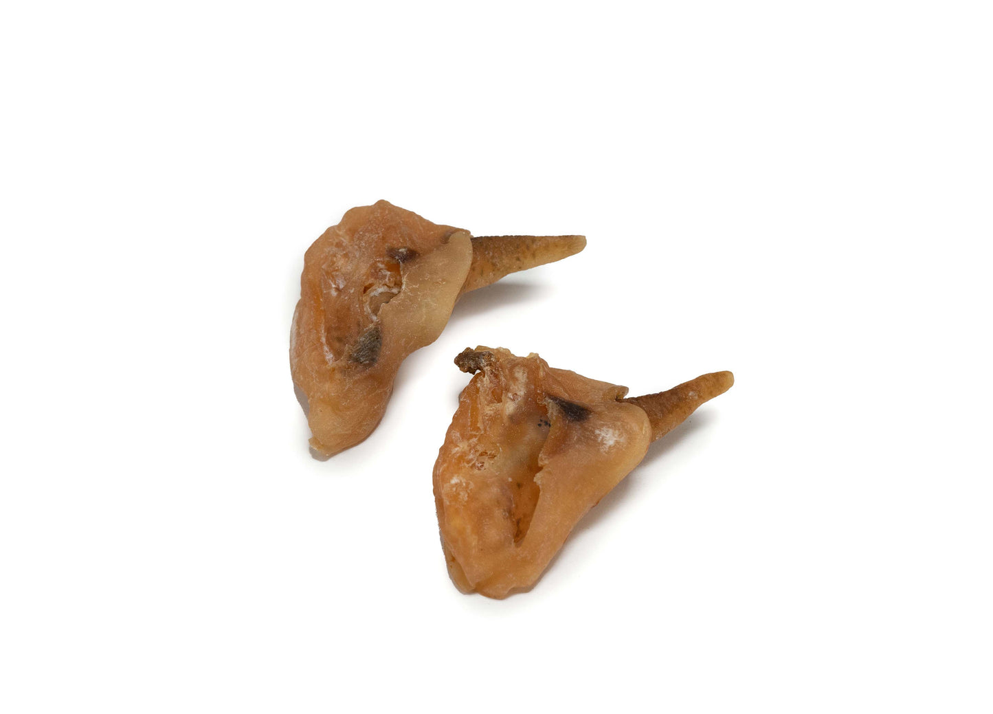 Pacific Dried Conch Meat 響螺嘴