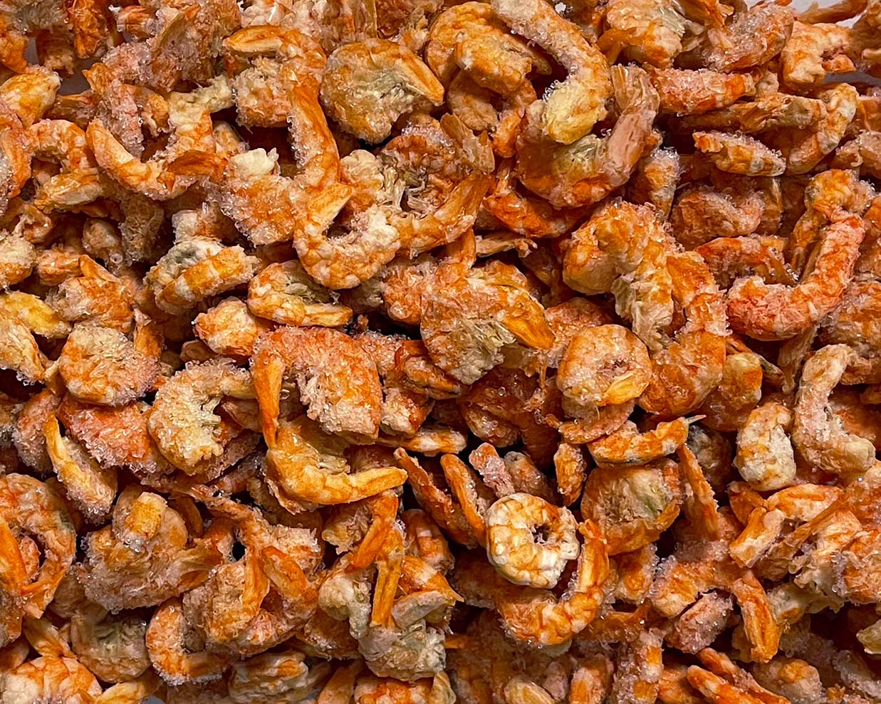 Dried Shrimp 美國蝦米