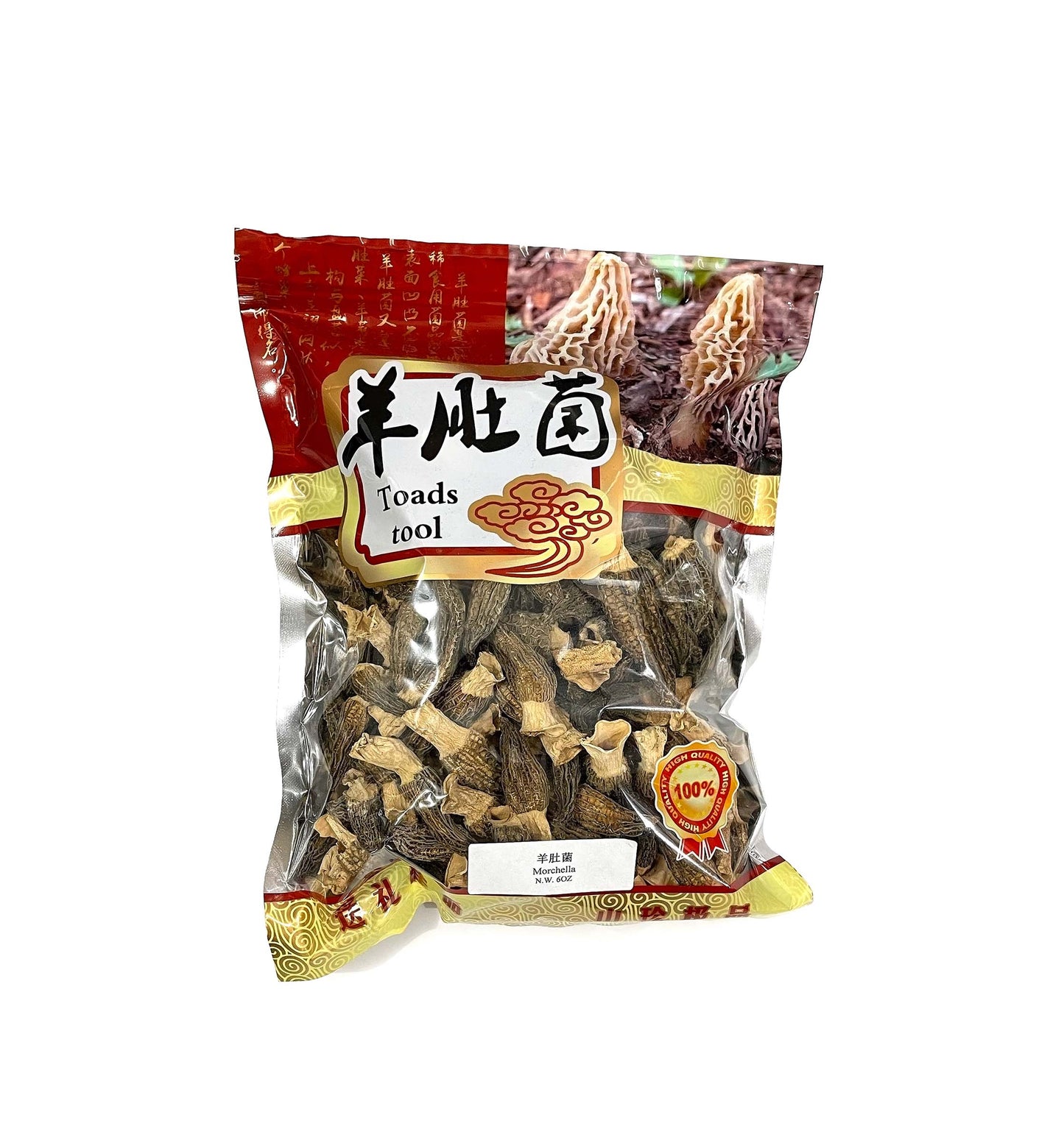 中羊肚菌